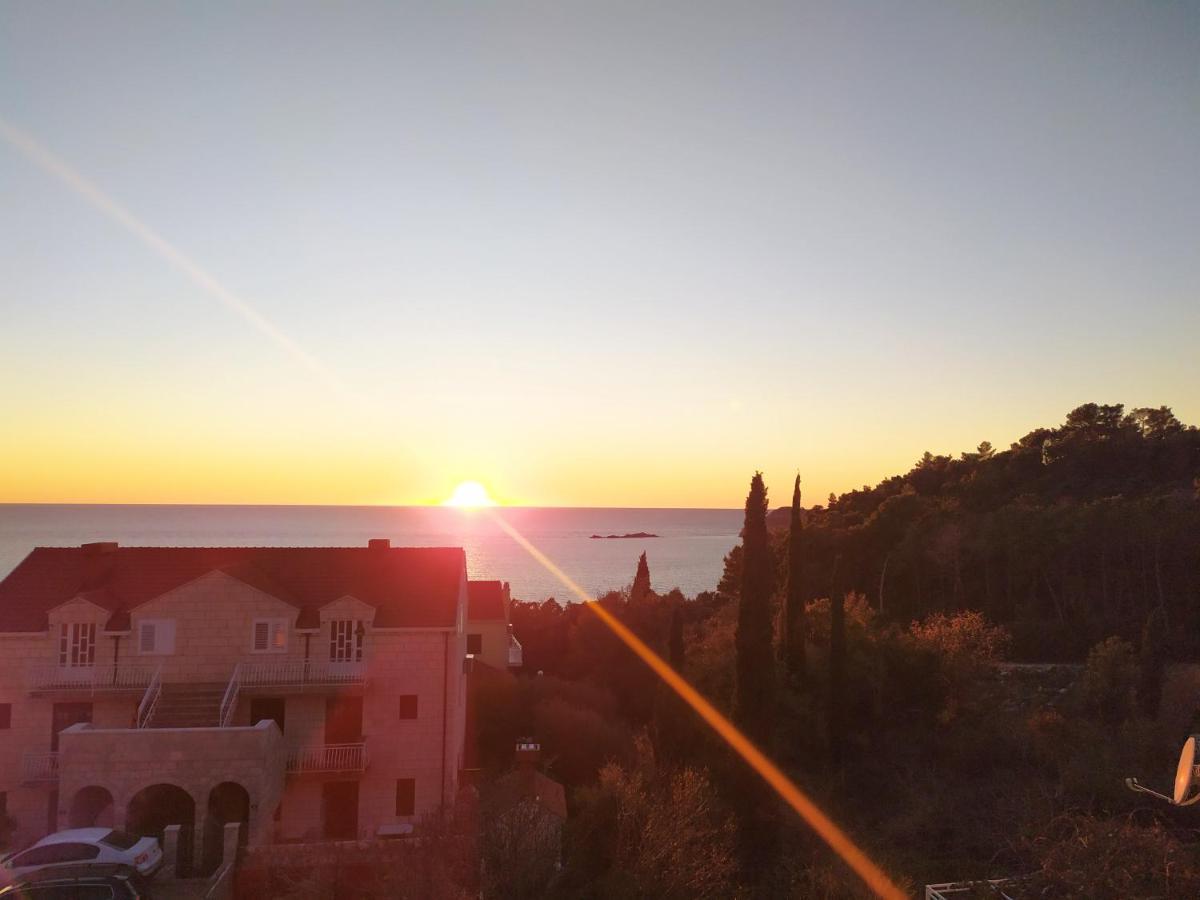 Apartamento Honey Bee Cavtat Exterior foto