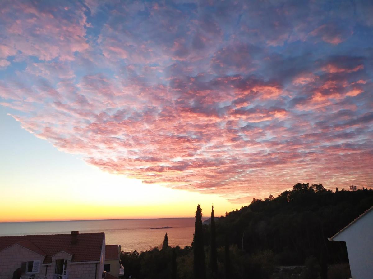 Apartamento Honey Bee Cavtat Exterior foto