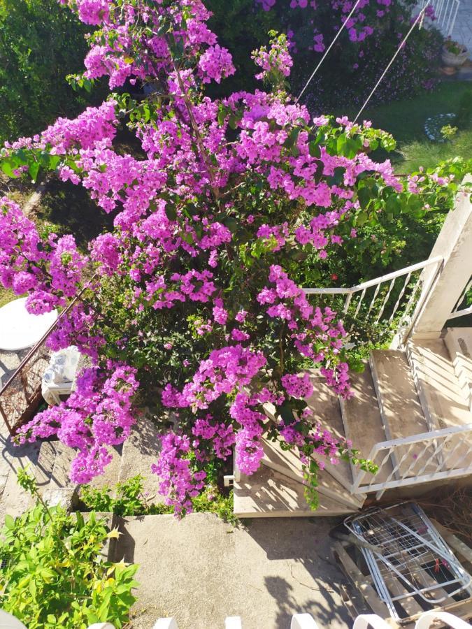 Apartamento Honey Bee Cavtat Exterior foto